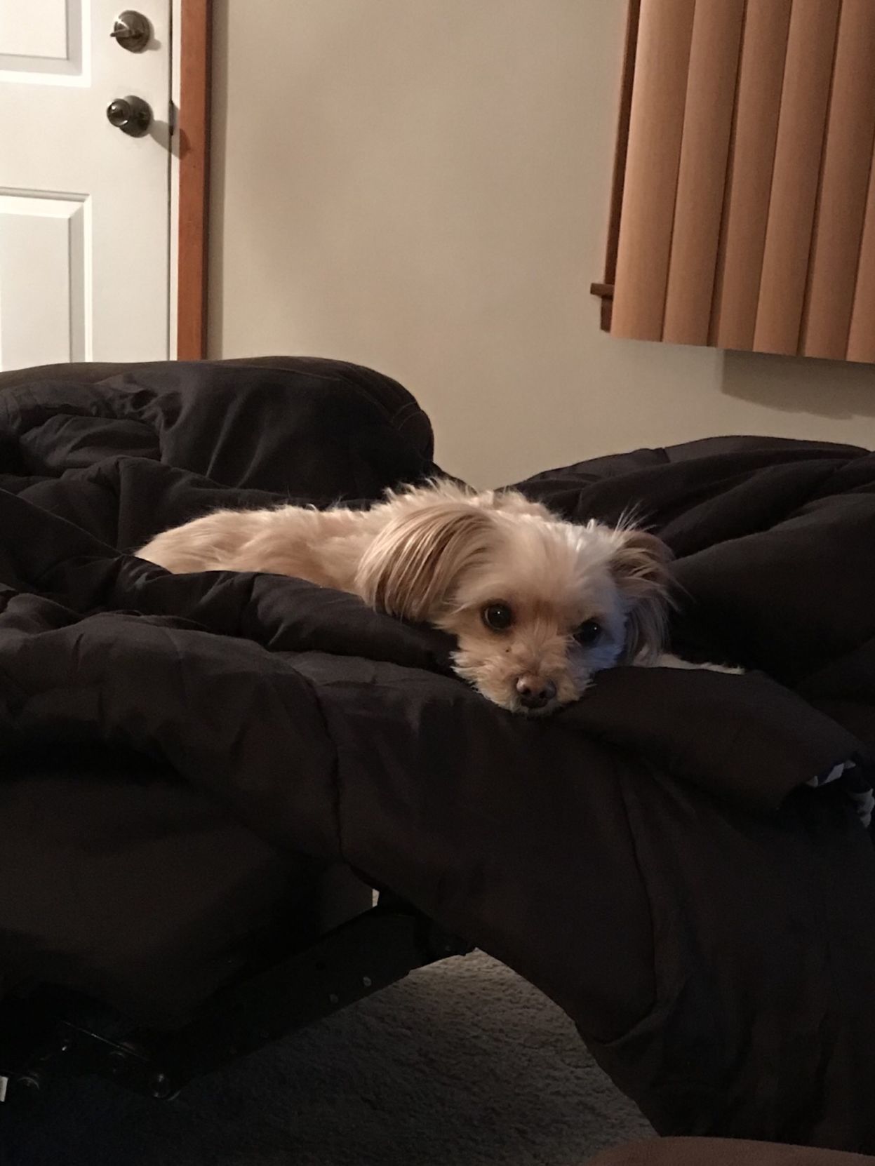 Lucy